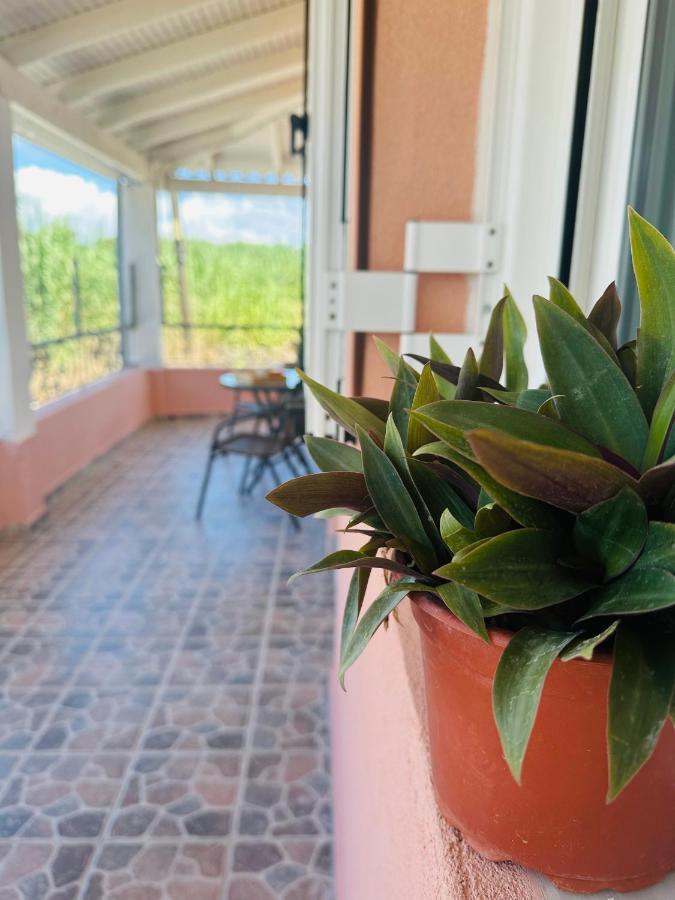 Venetian Gem Central Corfu Retreat Kanoni  Exterior photo